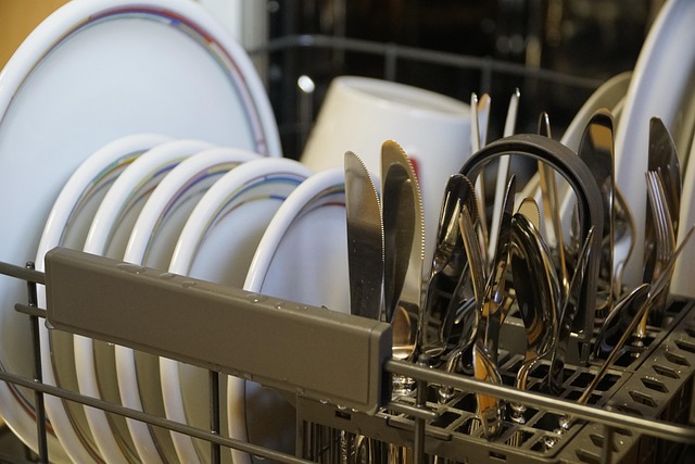 Why Dishwasher Maintenance Matters